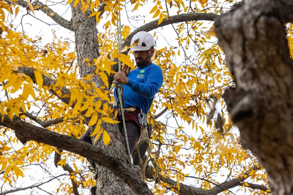 Skilled Storm Damage Cleanup crew working in Potlatch